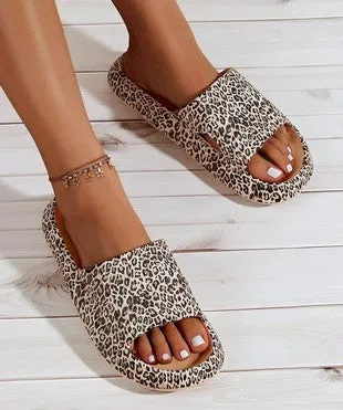Cheetah Cloud Slides